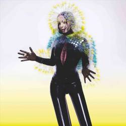Vinyl Björk - Vulnicura, One Little Independent, 2015, 2LP