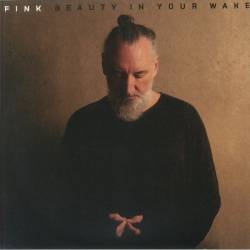 Vinyl Fink - Beauty In Your Wake, Various, 2024