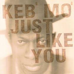 Vinyl Keb'Mo' - Just Like You, Music On Vinyl, 2014, 180g