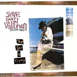 Vinyl Stevie Ray Vaughan - Sky is Crying, Music on Vinyl, 2015, 180g