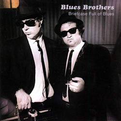 Vinyl Blues Brothers - Briefcase Full of Blues, Music On Vinyl, 2014, 180g, HQ